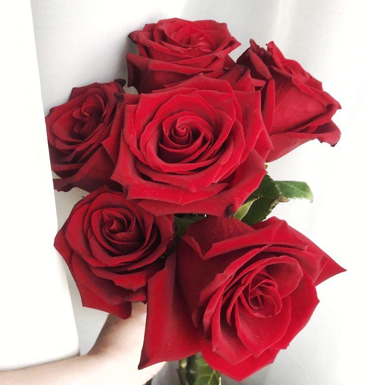 Fresh Field Studio workshop space where corporate flower arrangements are designed and prepared for business delivery